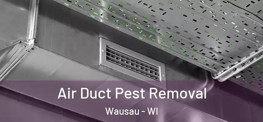 Air Duct Pest Removal Wausau - WI