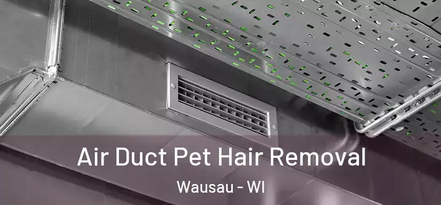 Air Duct Pet Hair Removal Wausau - WI