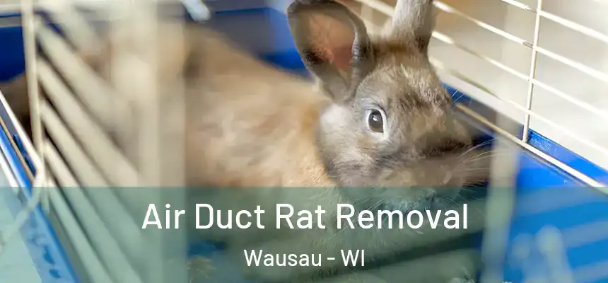  Air Duct Rat Removal Wausau - WI
