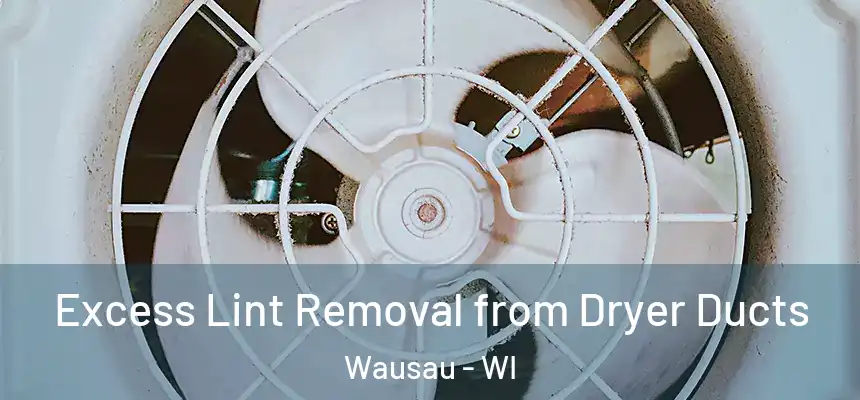 Excess Lint Removal from Dryer Ducts Wausau - WI