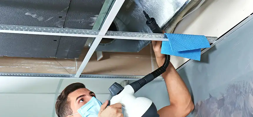 Our Air Duct Rodent Removal Services in Wausau, WI