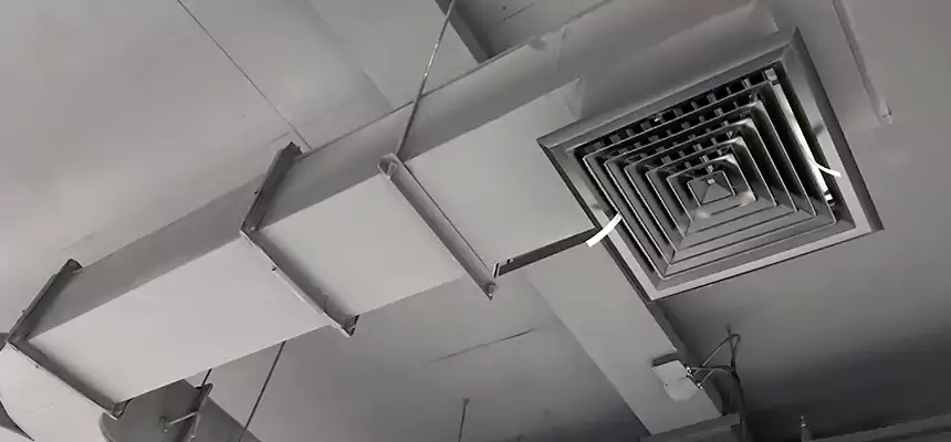 Restorative Allergy Relief Vent Cleaning – Coil, Blower & Housing Detail in Wausau