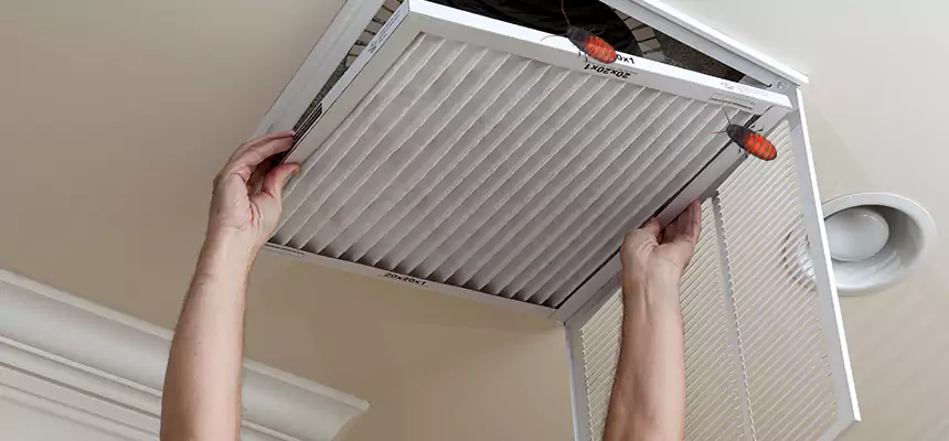 Our Insect Removal from Air Ducts Services in Wausau, WI