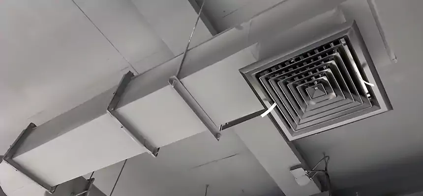 Our Pest Removal From Ducts Services in Wausau, WI