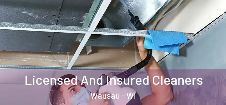  Licensed And Insured Cleaners Wausau - WI