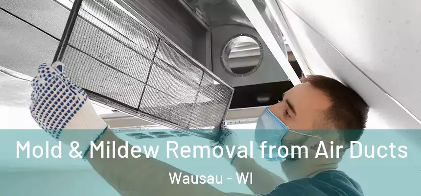 Mold & Mildew Removal from Air Ducts Wausau - WI
