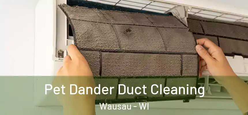Pet Dander Duct Cleaning Wausau - WI