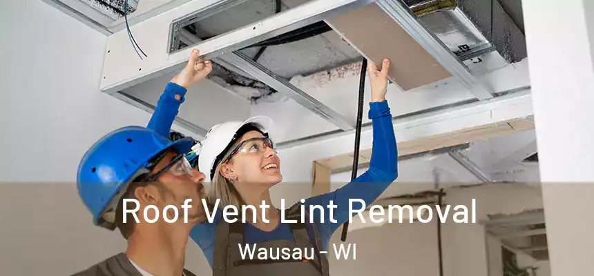 Roof Vent Lint Removal Wausau - WI