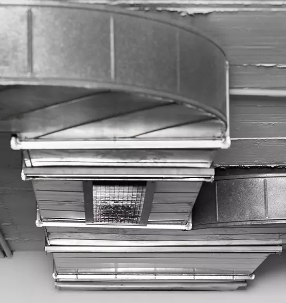 Professional Air Duct Pest Removal in Wausau, WI