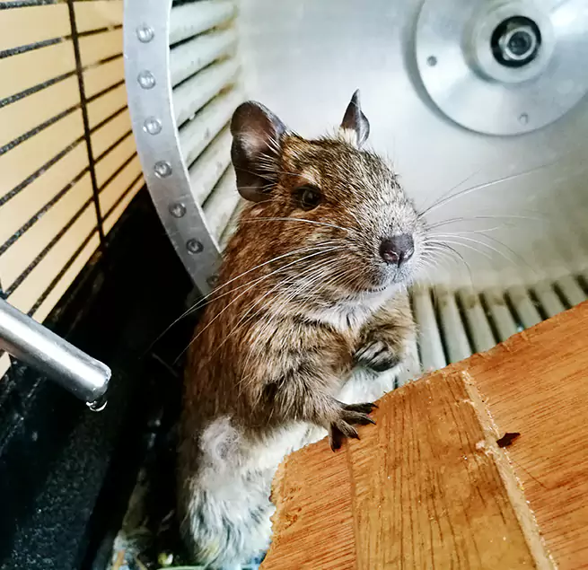 Why Homeowners & Businesses Trust Us Wausau, WI