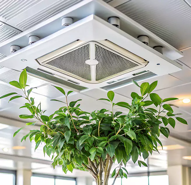 Why Homeowners & Businesses Trust Us in Wausau, WI?