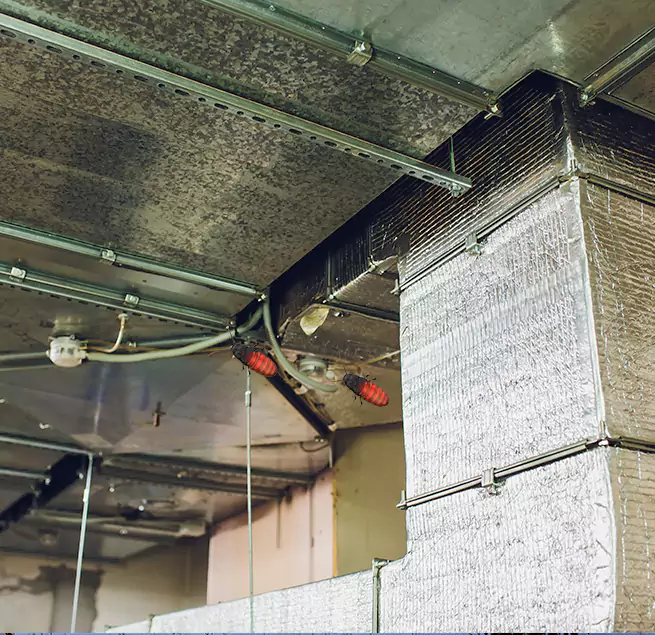 Why Homeowners & Businesses Trust Us Wausau, WI?