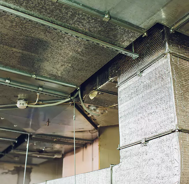 Why Homeowners & Businesses Trust Us in Wausau, WI?